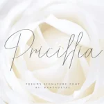 Pricillia Signature Font