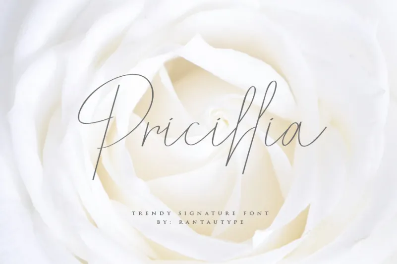 Pricillia Signature Font