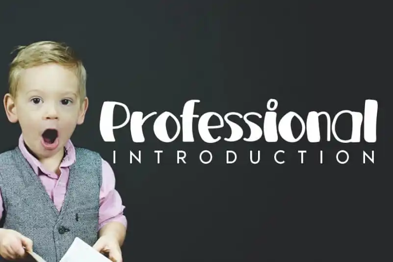 Professional Handwritten Font