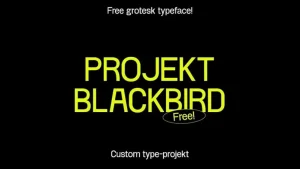 Project Blackbird Font