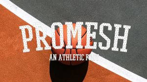 Promesh Font › Fontesk