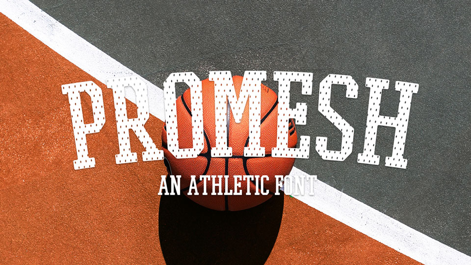 Promesh Font › Fontesk
