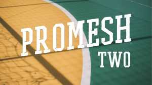 Promesh Two Font › Fontesk