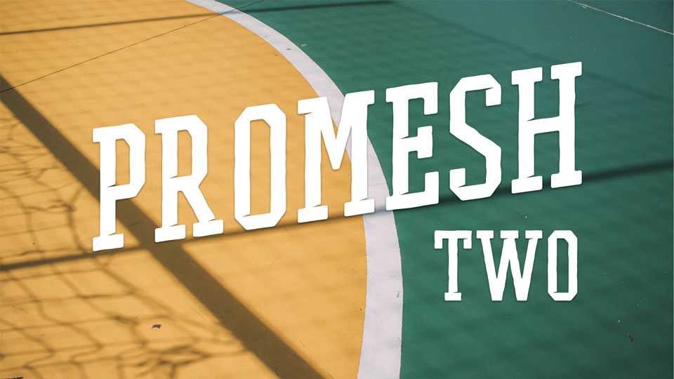Promesh Two Font › Fontesk
