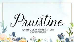 Pruistine Script Font › Fontesk