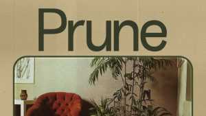 Prune Font › Fontesk