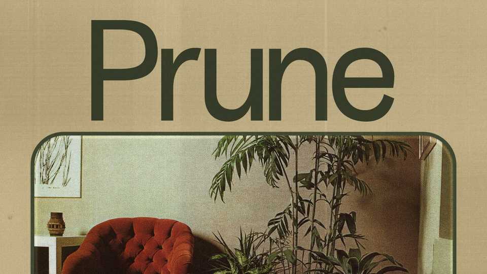 Prune Font › Fontesk