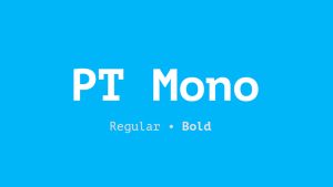 PT Mono Font Family › Fontesk