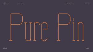Pure Pin Font › Fontesk