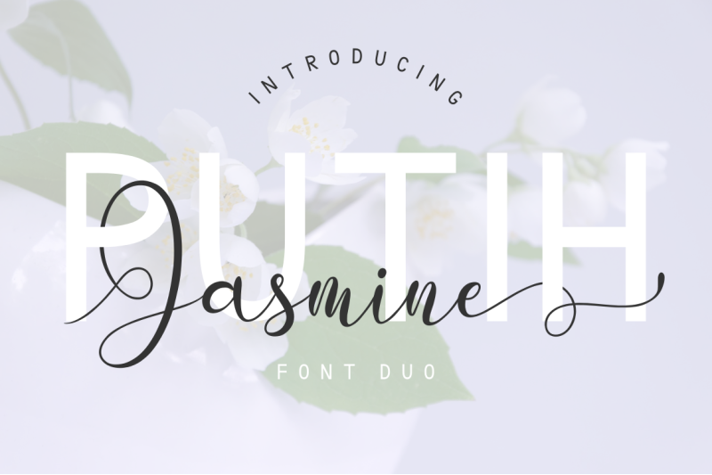 Putih Jasmine Font Duo