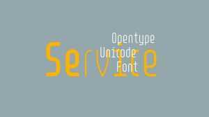 PVF Service Font Family › Fontesk