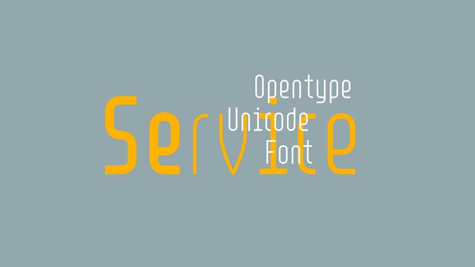 PVF Service Font Family › Fontesk