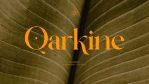 Qarkine Font › Fontesk