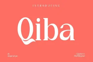 Qiba Serif Font
