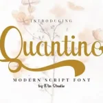Quantine Script Font