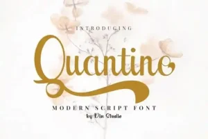 Quantine Script Font
