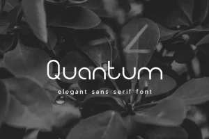 Quantum Sans Serif Font