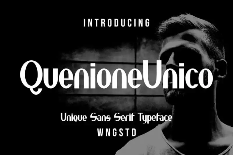 Quenione Unico Sans Serif Font