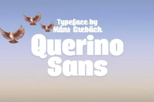Querino Sans Serif Font