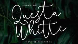 Questa Whitte Script Font › Fontesk