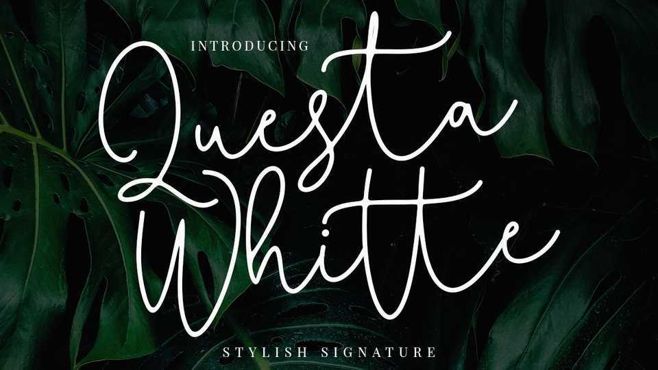 Questa Whitte Script Font › Fontesk
