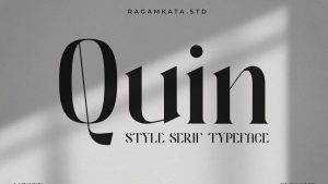 Quin Font › Fontesk