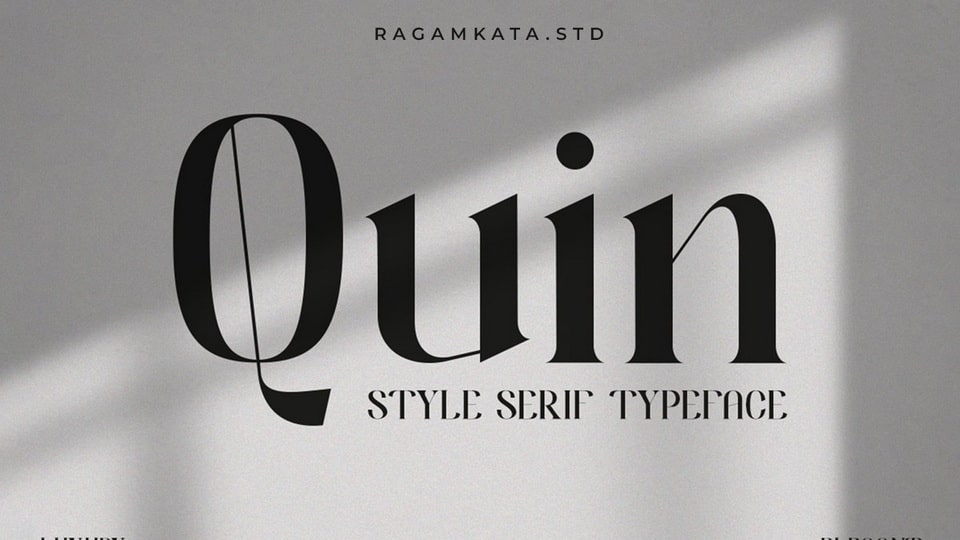 Quin Font › Fontesk