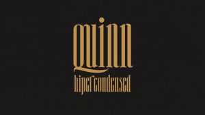 Quinn Font › Fontesk