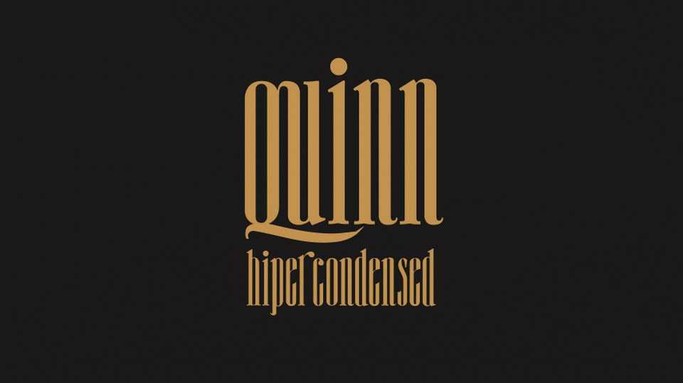 Quinn Font › Fontesk