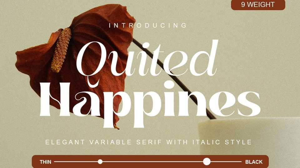 Quited Happines Font › Fontesk