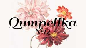 Qumpellka N12 Font › Fontesk