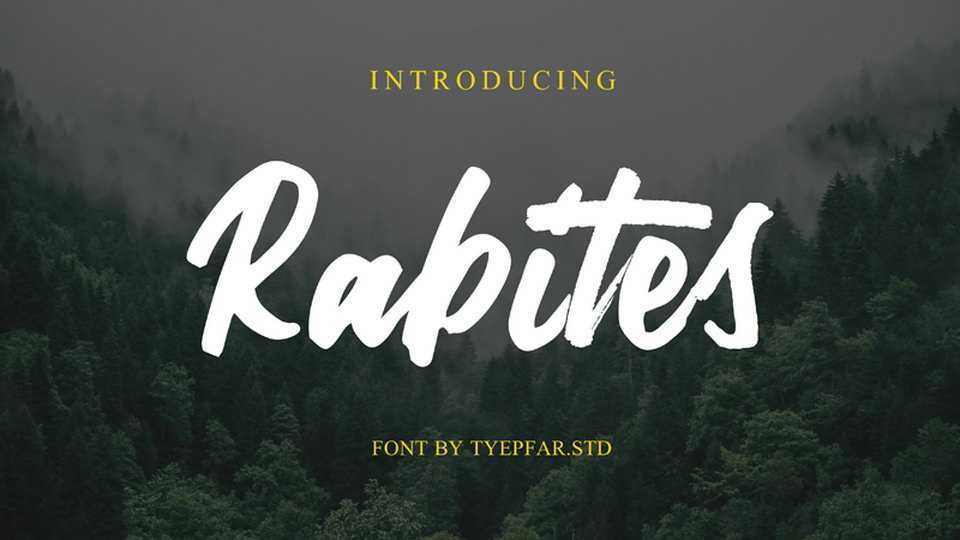 Rabites Brush Font › Fontesk