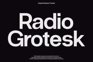 Radio Grotesk Sans Font Family
