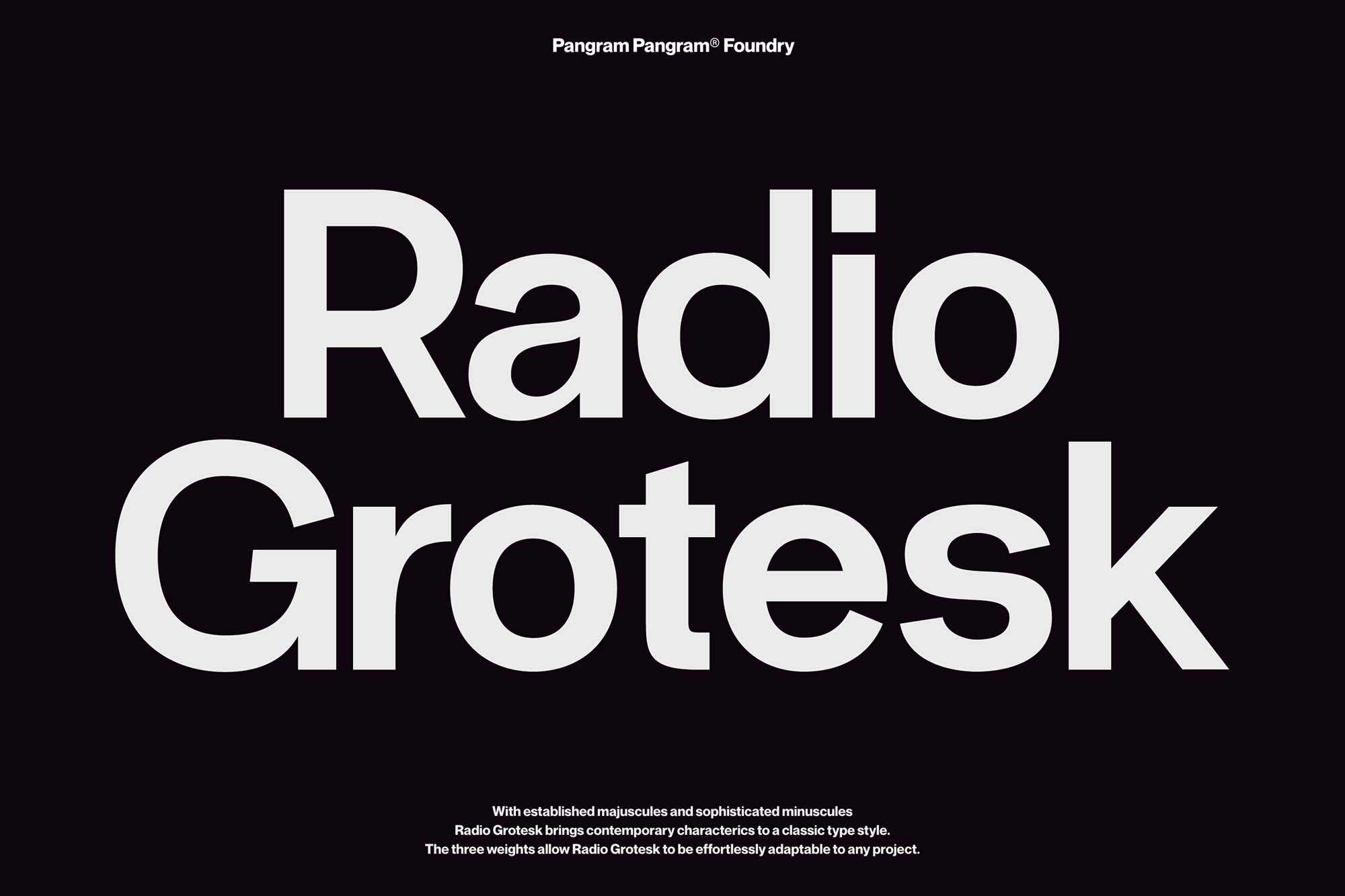 Radio Grotesk Sans Font Family