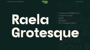 Raela Grotesque Font Family › Fontesk