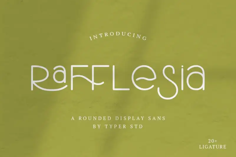 Rafflesia Display Font