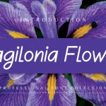 Ragilonia Flower Handwritten Font