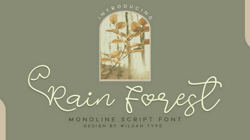 Rain Forest Font › Fontesk