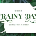 RAINY DAY Serif Font