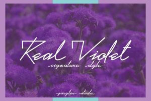 Real Violet Handwritten Font