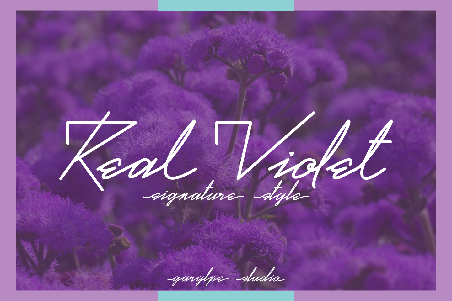Real Violet Handwritten Font