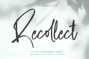 Recollect Font