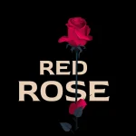 Red Rose Pro Serif Font