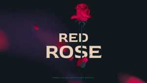 Red Rose Typeface › Fontesk