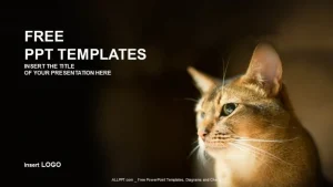 Reddish Kitty-Nature PPT Templates
