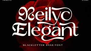 Reilyc Elegant Font › Fontesk
