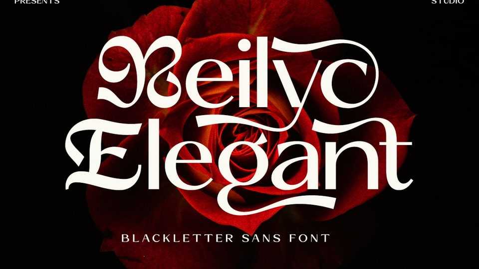 Reilyc Elegant Font › Fontesk