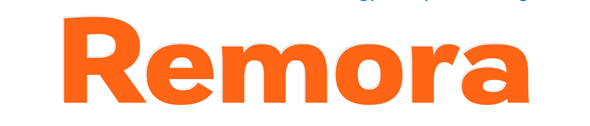 Remora Sans Font Family