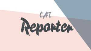 Reporter Font › Fontesk