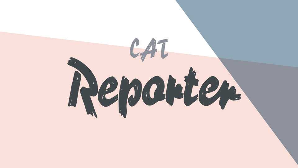 Reporter Font › Fontesk